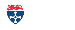 100-NUMED-WHITE-1.png